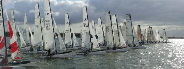 pamp12