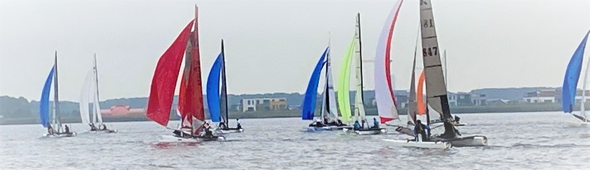 pampus21_1